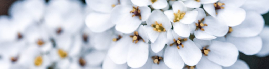 उसका लागि कविता।