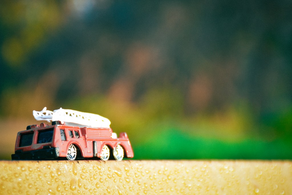 कार्की दाई, राजा, गणतन्त्र। 