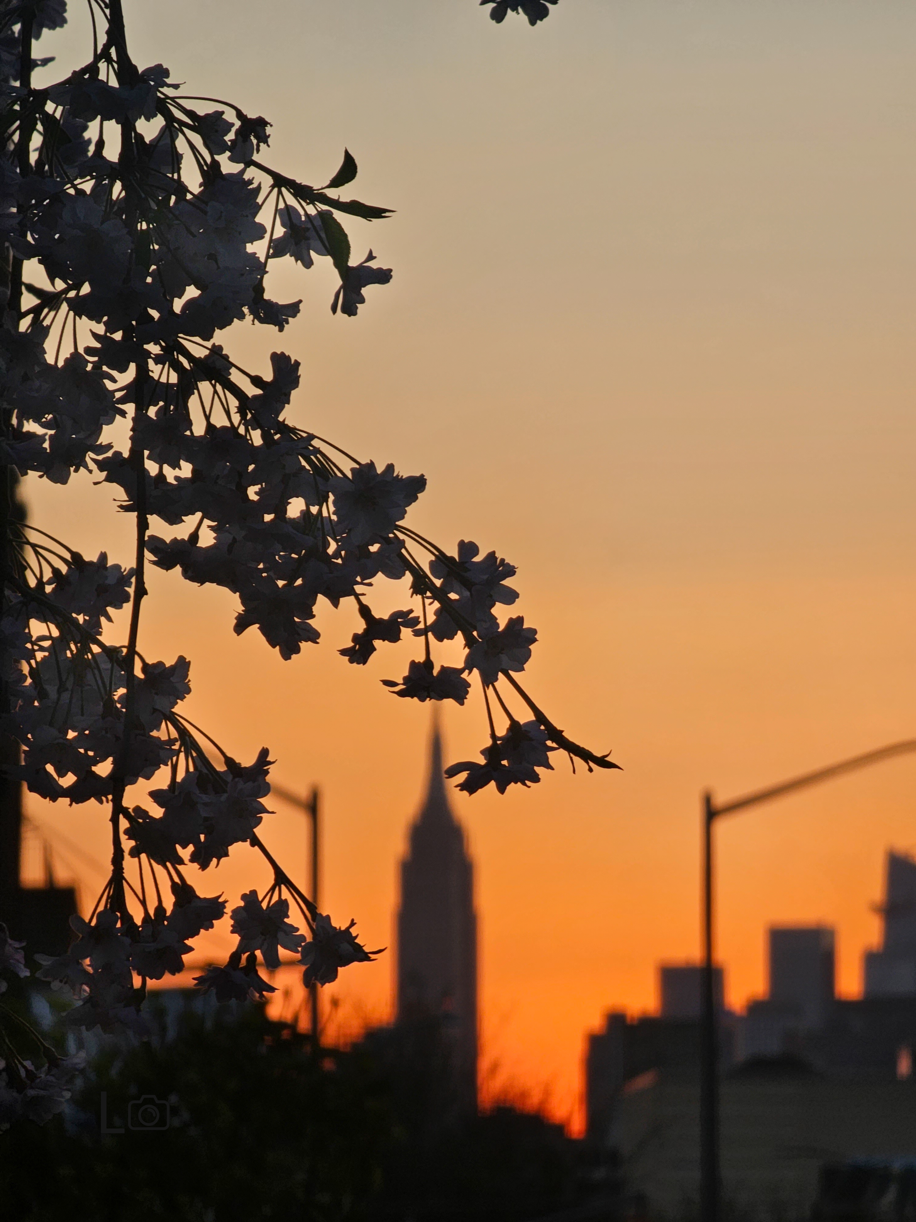 ऊ-ध्रुव, म-परिक्रमा 