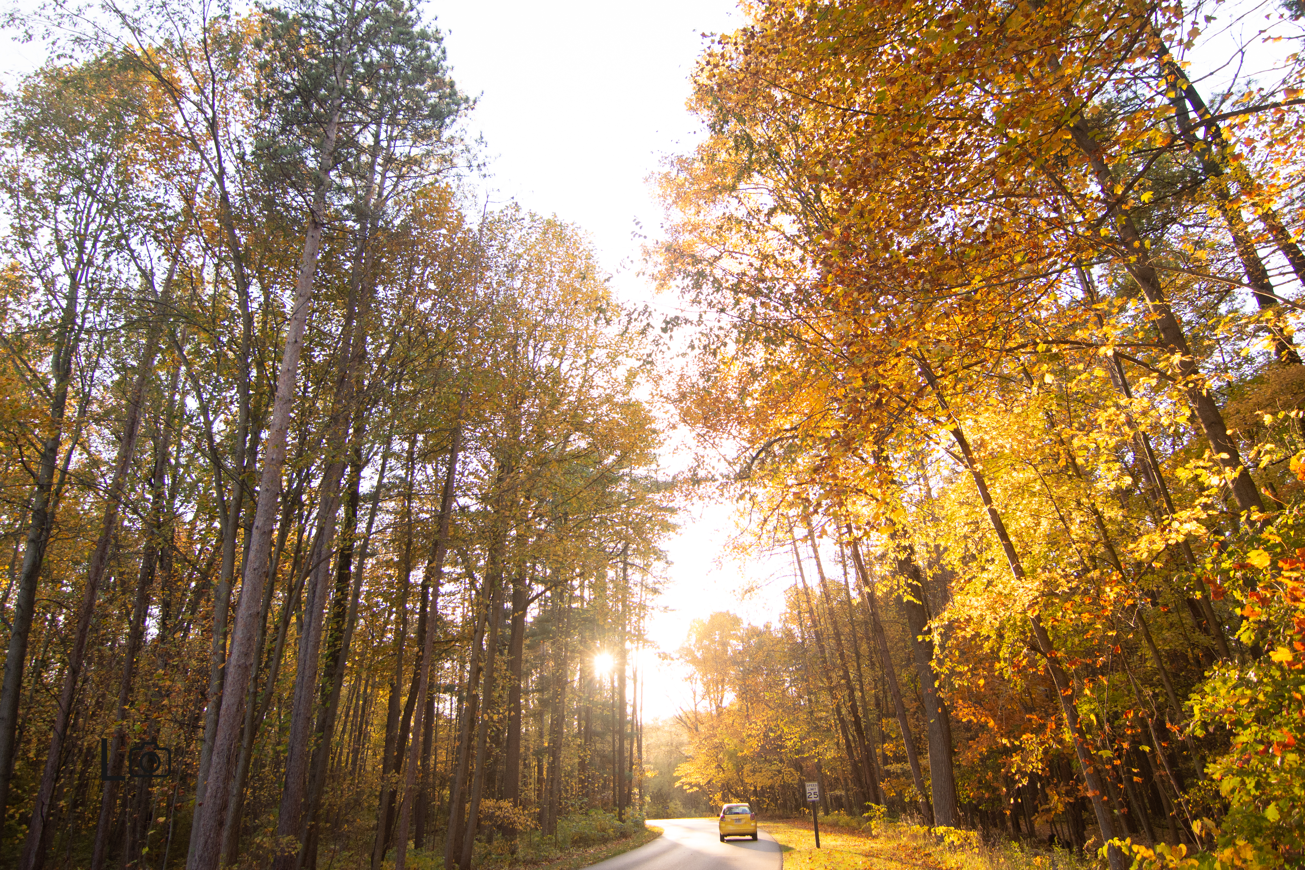 नोस्टालजिया पसल