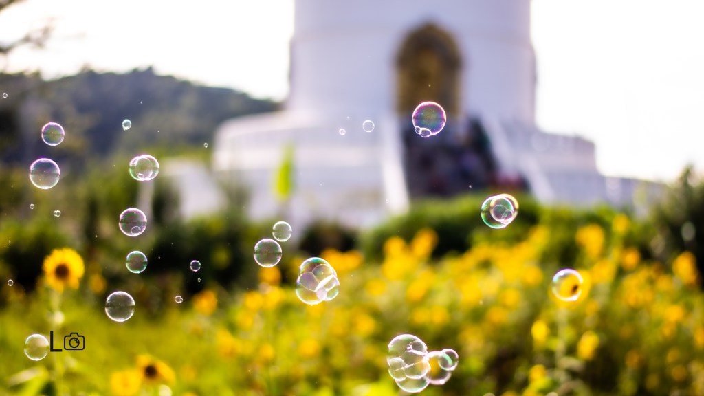 ए! तिमि।