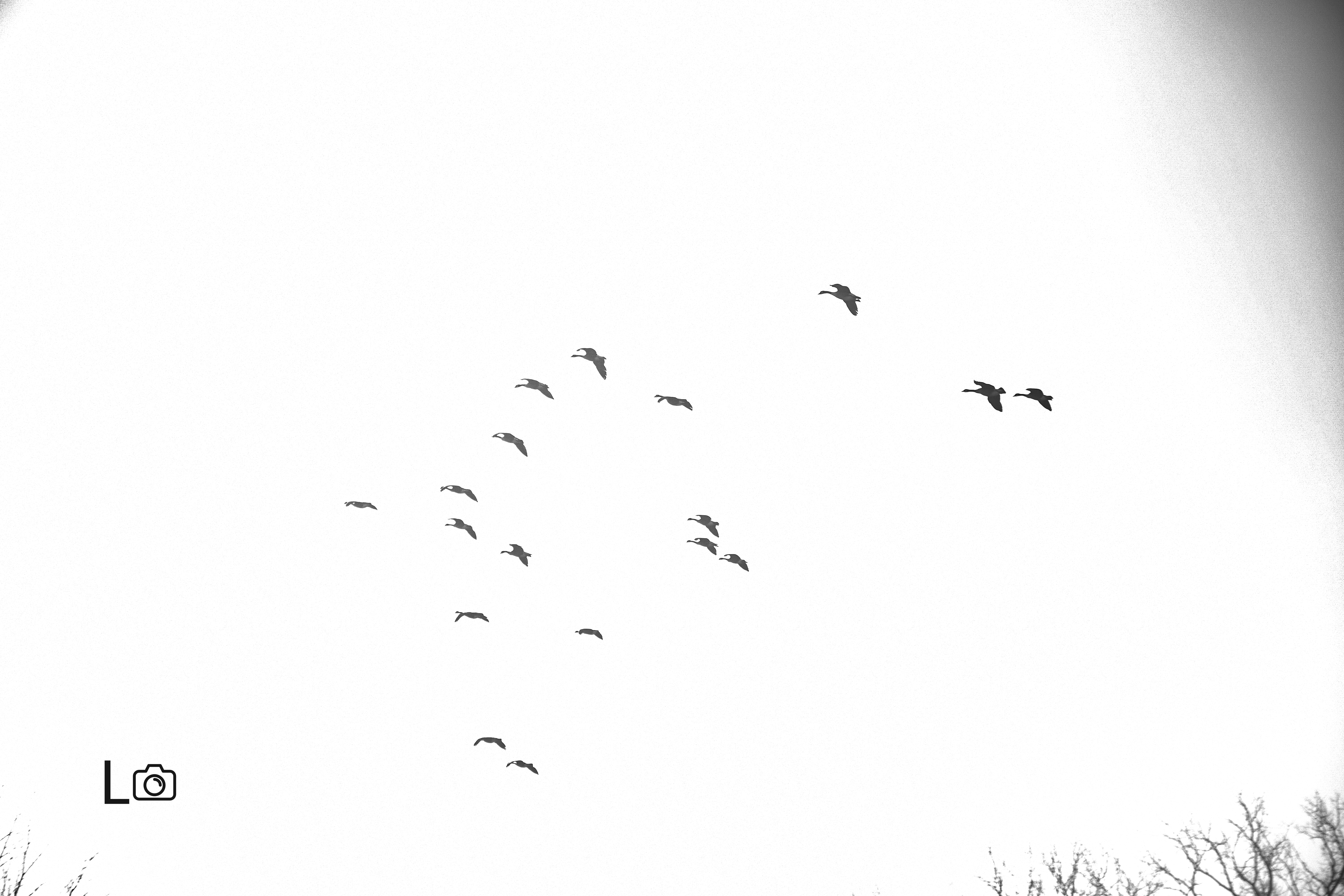 हो, म बहुला&nbsp;हुँ।