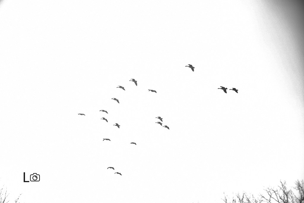 हो, म बहुला&nbsp;हुँ।