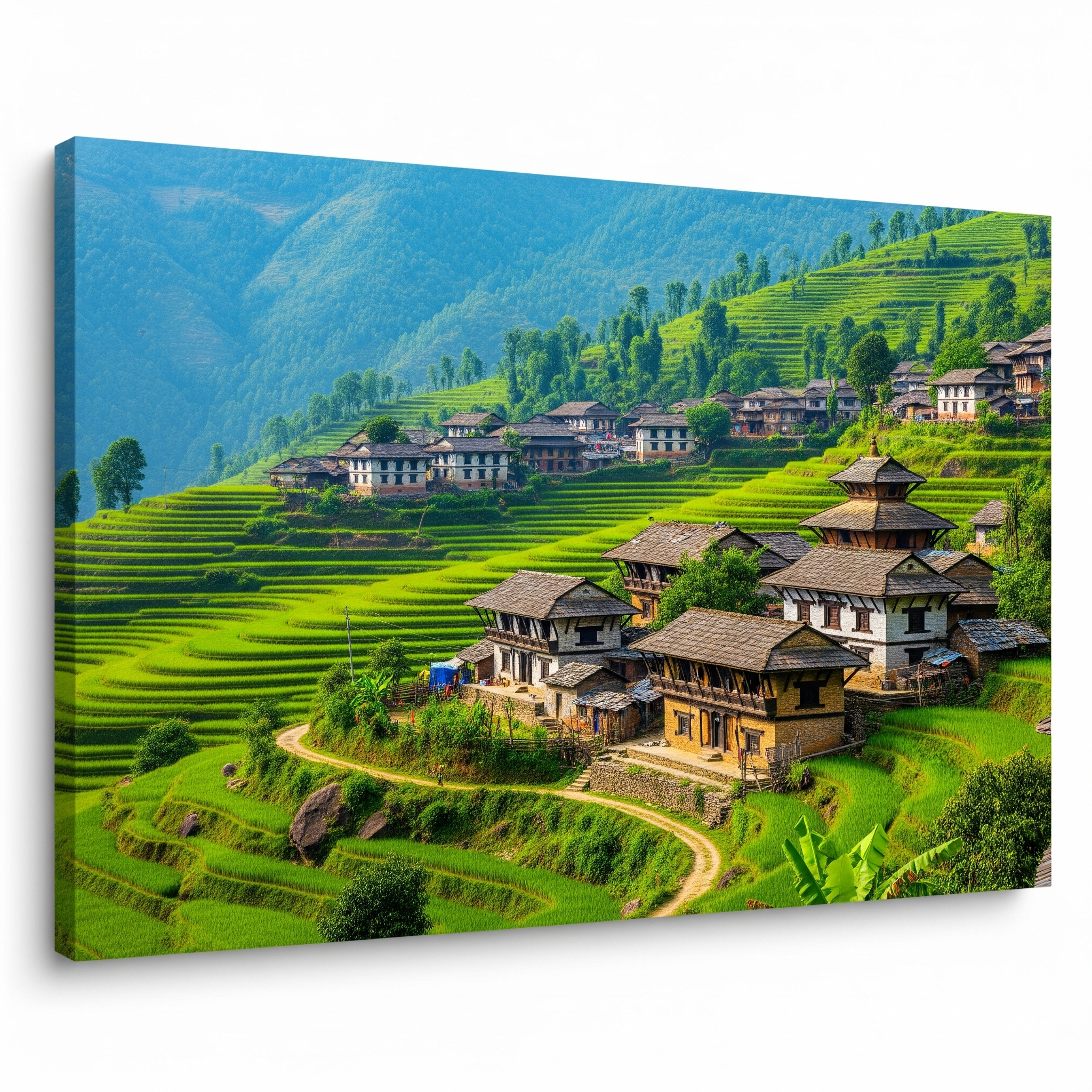 देश हराएको सपना