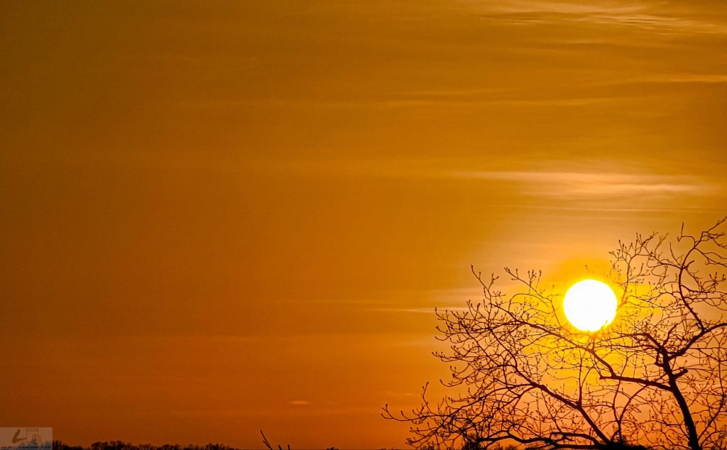 घाम र फूलको प्रेम&nbsp;गीत।