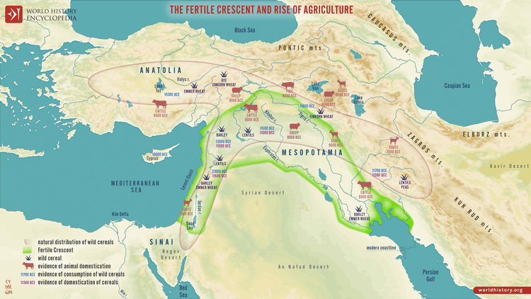 Fertile Crescent