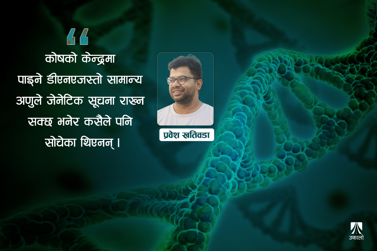 How DNA Copies Itself: From Mendel’s Peas to Watson &&nbsp;Crick