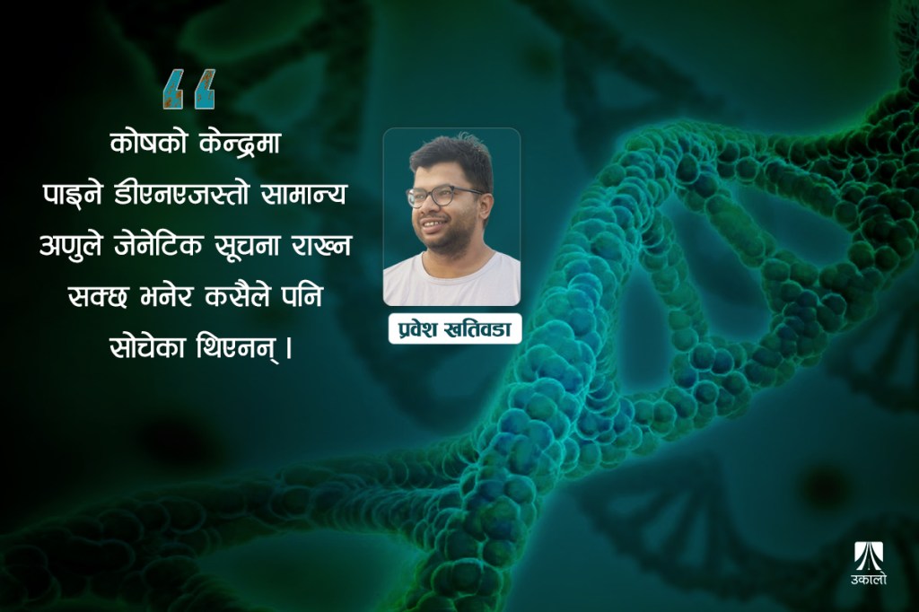 सन् १९५३ को मार्चमा वाट्सन र क्रिकले डीएनएको संरचनाको पूर्ण मोडल बनाए। अर्को महिना 'मलिकुलर सट्रक्चर अफ न्युक्लिक एसिड' भनेर डीएनए संरचनाबारे उनीहरूको पेपर नै नेचरमा जर्नलमा आइसकेको थियो। डीएनएको दुई त्यान्द्रे डबल-हेलिक्स संरचना हुन्छ भनेर देखाएका उनीहरूले शुरूको त्यही भनाइसाथ पेपर टुंग्याएका थिए। “हामीले यो भुलेका छैनौँ कि हामीले देखाएको डीएनएको दुई त्यान्द्राको डबल हेलिकल जोडाइको आधारमा जेनेटीक पदार्थले प्रतिलिपि बनाउन सम्भव हुन सक्छ”- वाट्सन र क्रिक, नेचर, १९५३