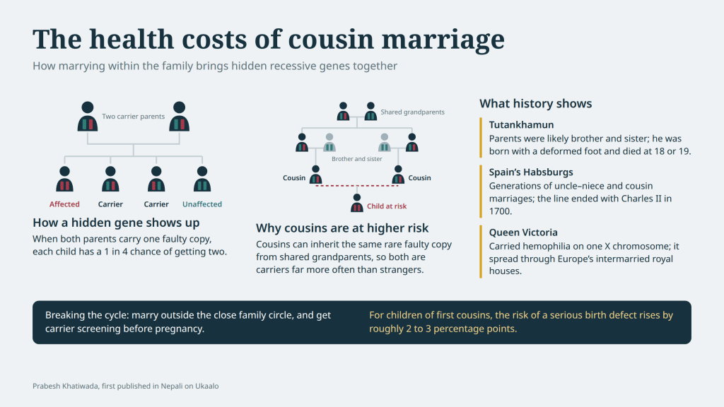 How marrying within the family brings hidden recessive genes together, from Tutankhamun’s dynasty to the Habsburg jaw and Queen Victoria’s hemophilia.