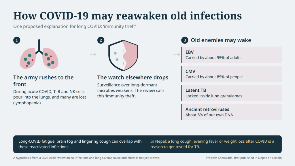Your PCR test is negative, so why are you still exhausted? A new review suggests COVID may wake up viruses and TB that have been hiding in your body for years.